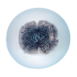 1RR 3.11a - Platter 'Brain Wave'