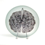 1RR 3.11a - Platter 'Brain Wave'